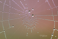 R5 2023-10-05-7727-Edit