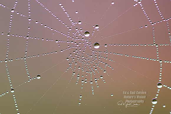 R5 2023-10-05-7727-Edit