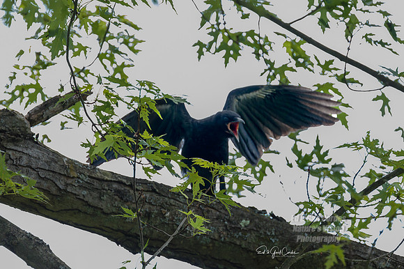 R7 2023-05-23-3712-Edit