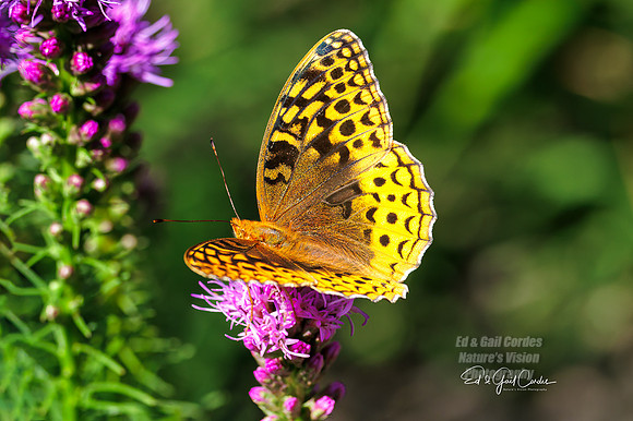 R7 2023-07-21-3721-Edit