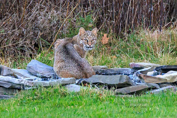 R7 2023-11-13-4006-Edit