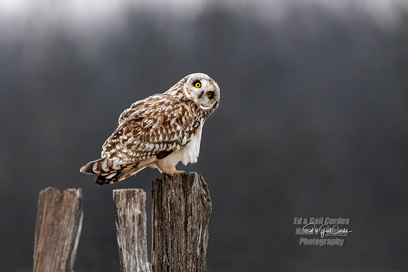 R5 2024-01-12-7891-Edit