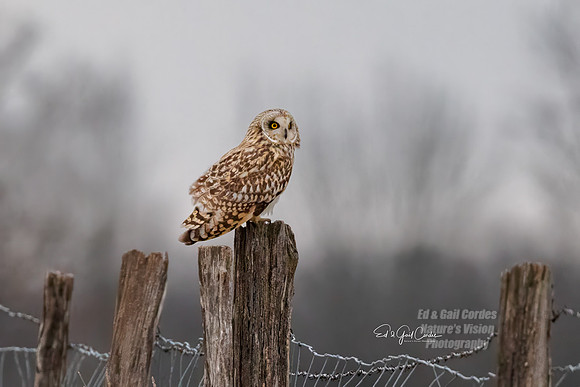 R5 2024-01-12-7875-Edit
