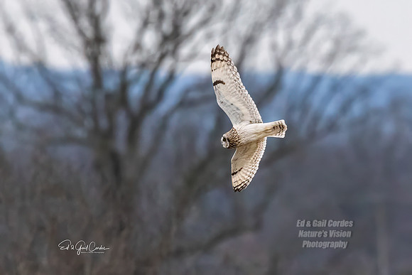 R5 2024-01-12-7934-Edit