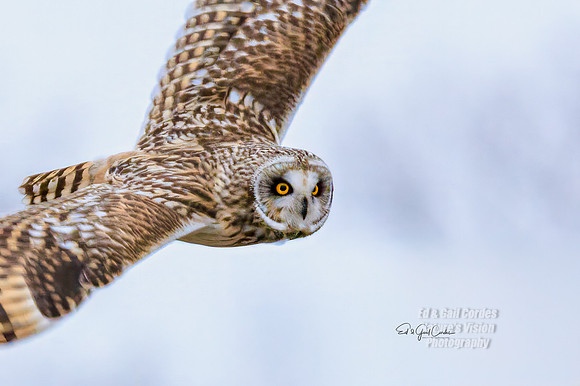 R7 2024-01-12-4106-Edit