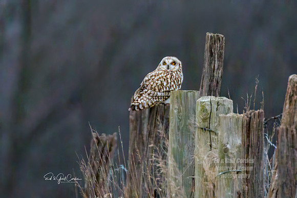 R7 2024-01-12-4183-Edit