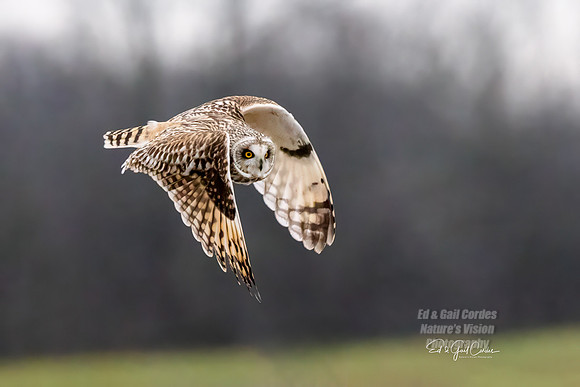 R5 2024-01-12-7904-Edit