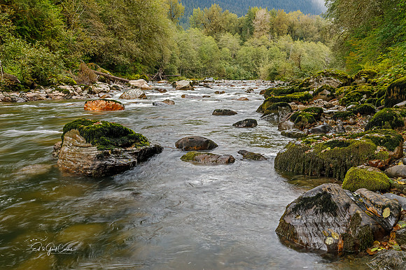 5D4 2019-09-23-0113