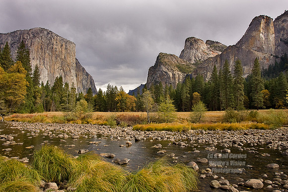 Yosemite Sequoia 2008-8045 SoftLight