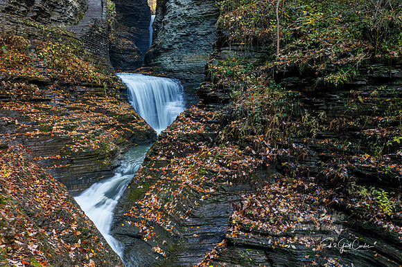 5D4 2019-10-29-0387