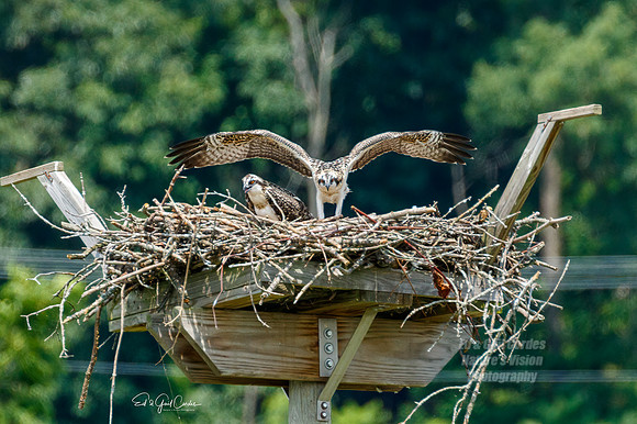 7D2E 2021-07-31-8602-Edit