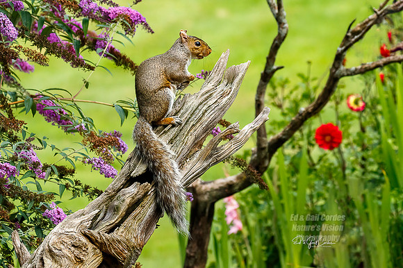 7D2E 2021-08-10-8892-Edit