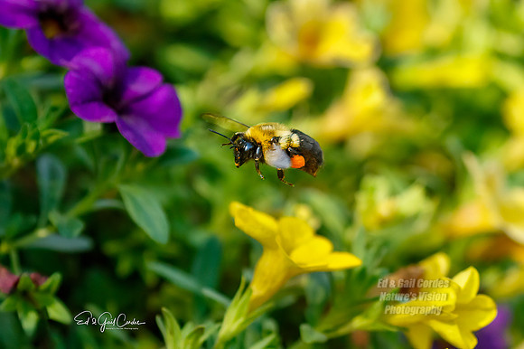 7D2E 2021-09-28-9094-Edit