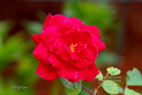 R5 2021-07-06-7212-Edit