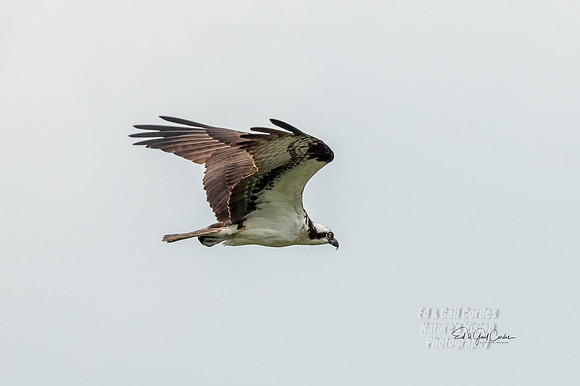 R5 2021-07-28-7629-Edit