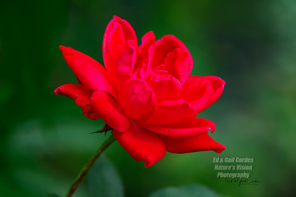 R5 2021-08-21-8117-Edit
