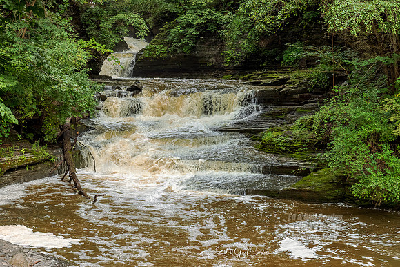 R5 2021-08-21-8171-Edit