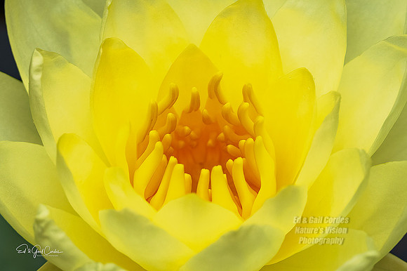 R5 2021-09-01-8195-Edit A