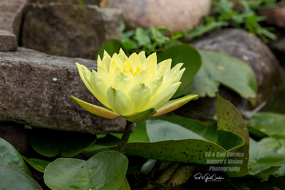 R5 2021-09-01-8196-Edit