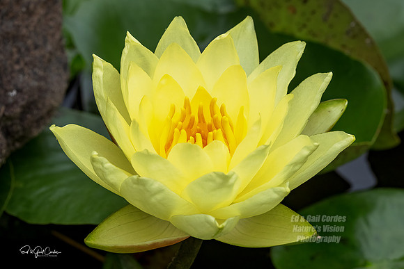R5 2021-09-01-8197-Edit A