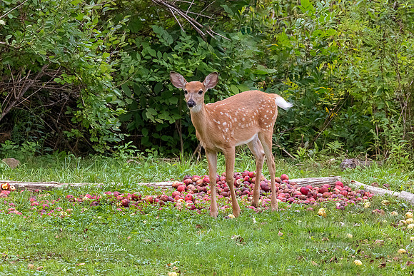 R5 2021-09-15-8258-Edit