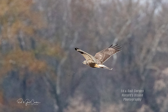 R5 2021-11-19-8810-Edit