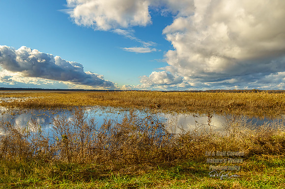 Sony 2021-11-19-4637-Edit