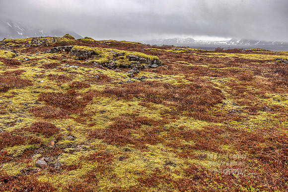 R5 2022-05-03-2020-Edit
