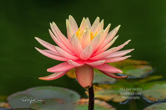 7D 2013-07-21-1148