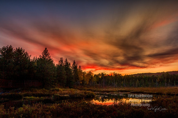 7D 2014-09-29-9305