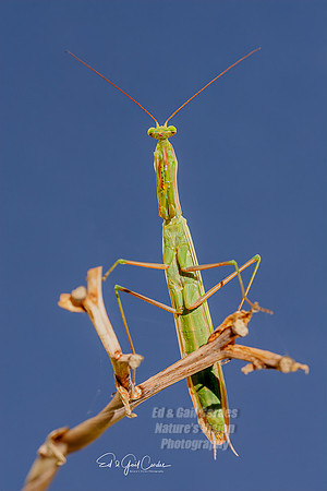 September 2007-2900