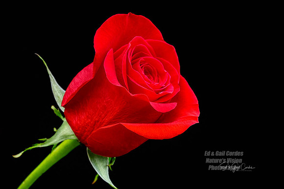 5D4 2020-06-03-2540