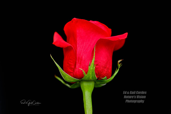 5D4 2020-06-03-2547