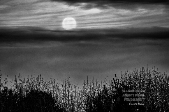7D2E 2016-11-21-4049B&W
