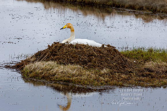 5D4 2022-05-05-3421-Edit