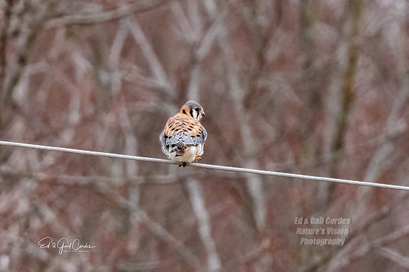 R5 2022-03-27-1508-Edit