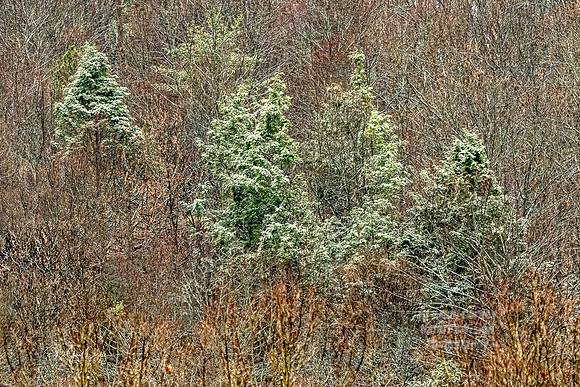 R5 2020-11-26-4050