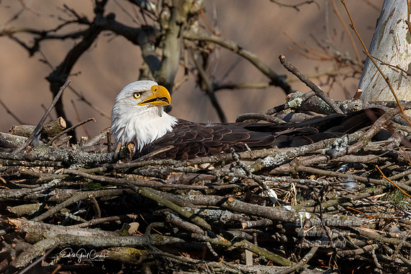 R5 2022-03-06-1384-Edit
