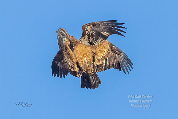 R5 2021-02-06-5424