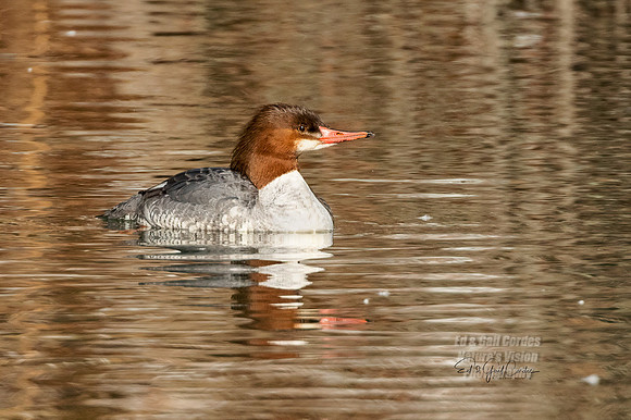 R5 2021-02-17-5704