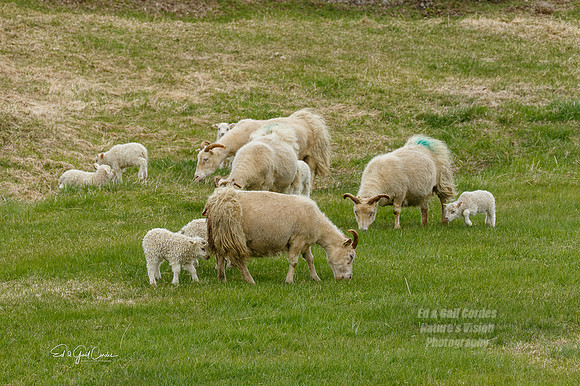 7D2E 2022-05-07-1780-Edit