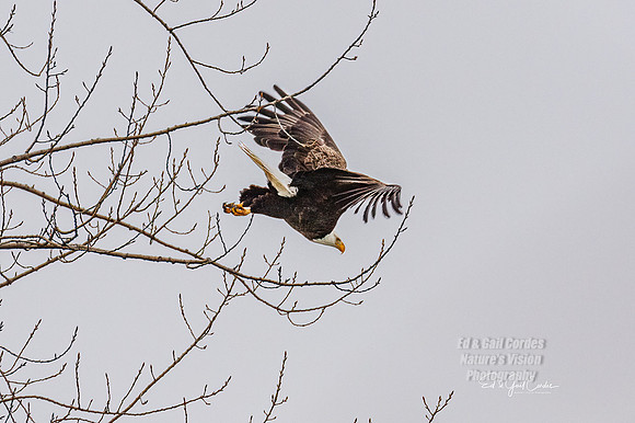 7D2E 2022-02-27-0749-Edit