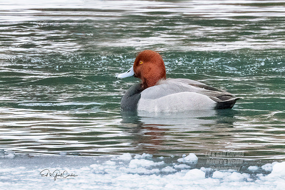 R5 2022-01-18-0037-Edit