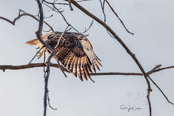 R5 2022-01-12-9613-Edit