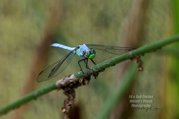 R5 2022-08-06-4022-Edit