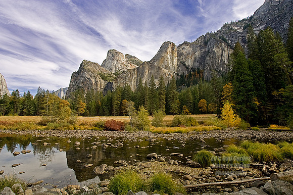 Yosemite Sequoia 2008-7715 SoftLight