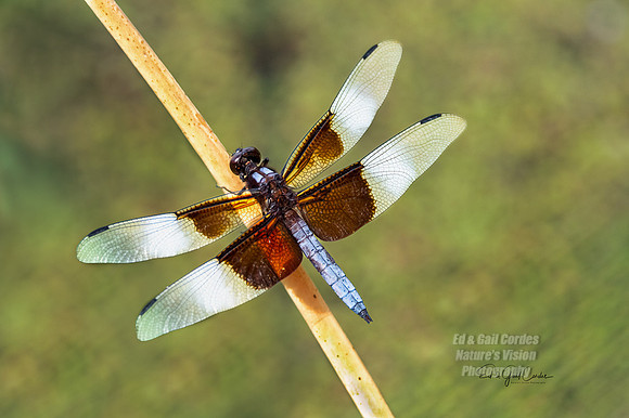 R5 2022-08-06-4014-Edit