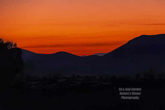 R5 2025-02-28-4728-Edit