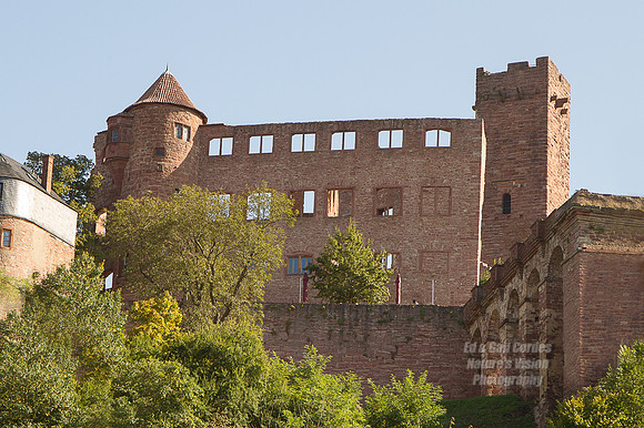 7D 2013-09-24-3118