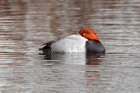 R5 2022-01-19-0090-Edit